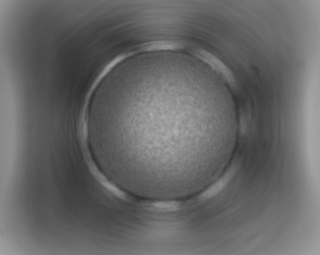 X0000113880844200910011131