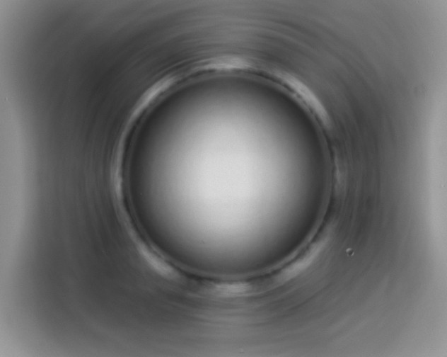 X0000113880845200910011131