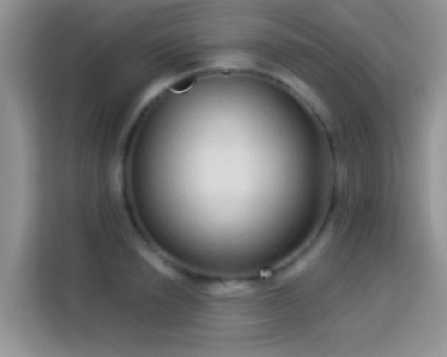 X0000113880846200910011131