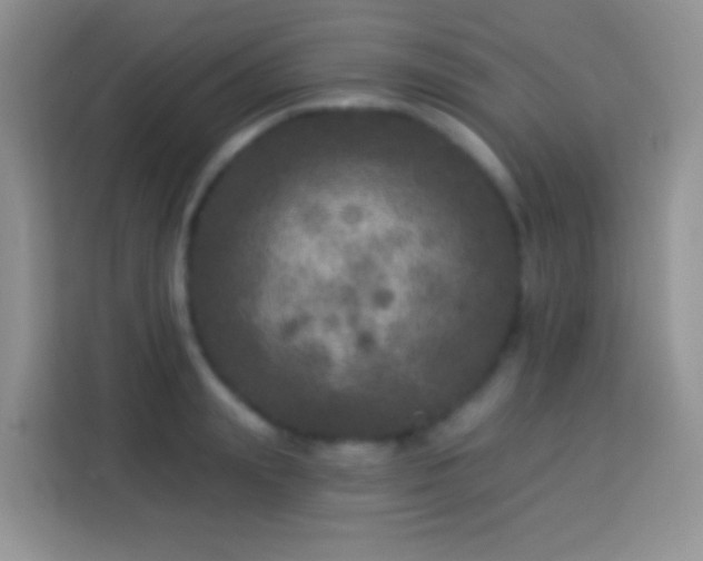 X0000113880847200910011131