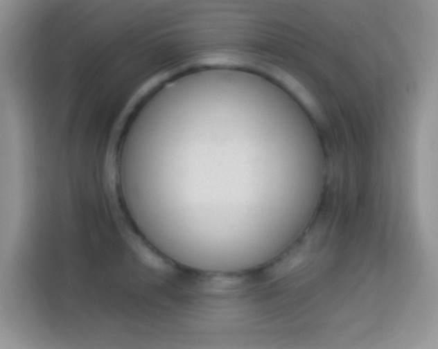 X0000113880848200910011131