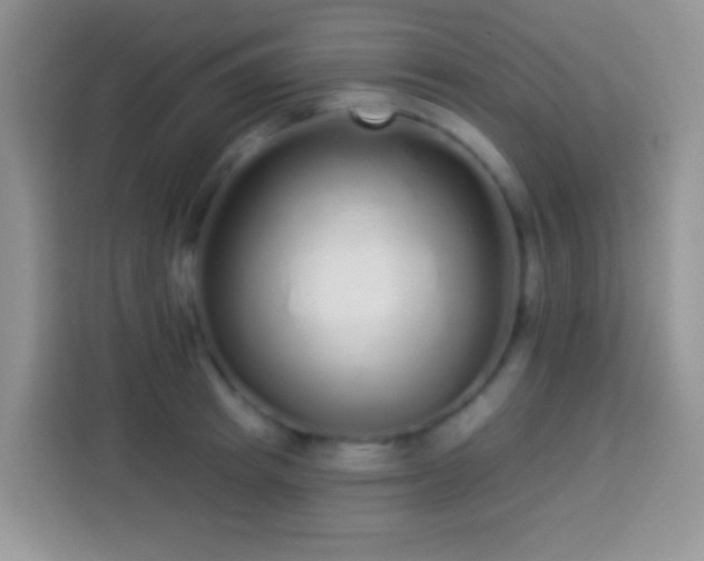 X0000113880849200910011131