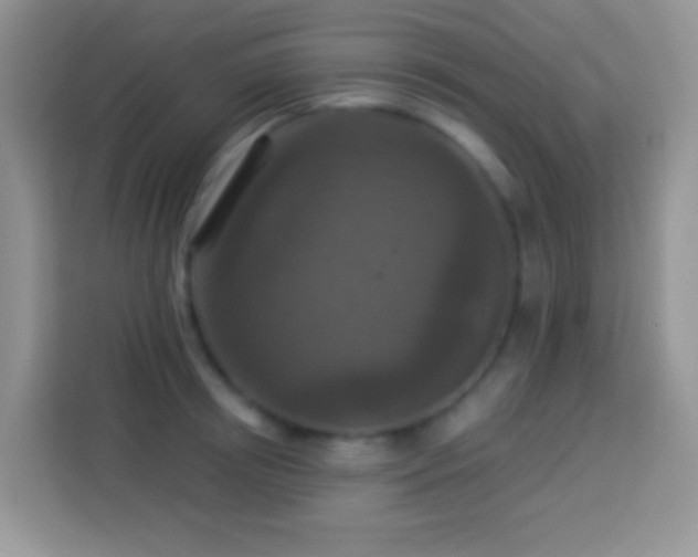 X0000113880850200910011131