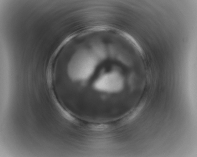 X0000113880851200910011131