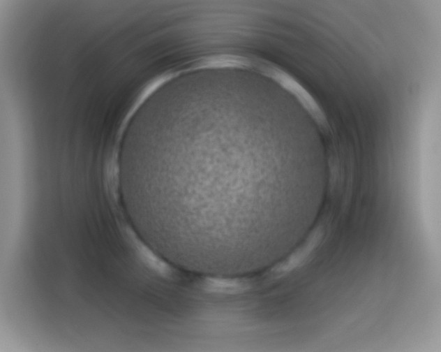 X0000113880852200910011131