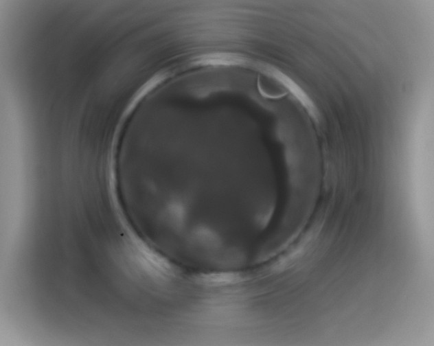 X0000113880853200910011131