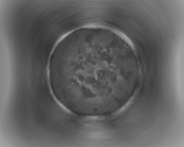 X0000113880855200910011131