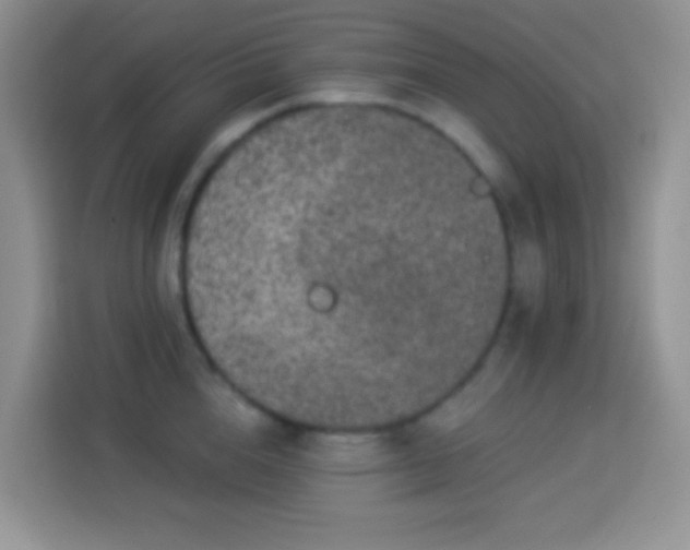 X0000113880856200910011131