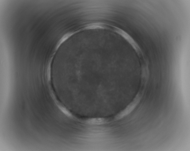 X0000113880858200910011131