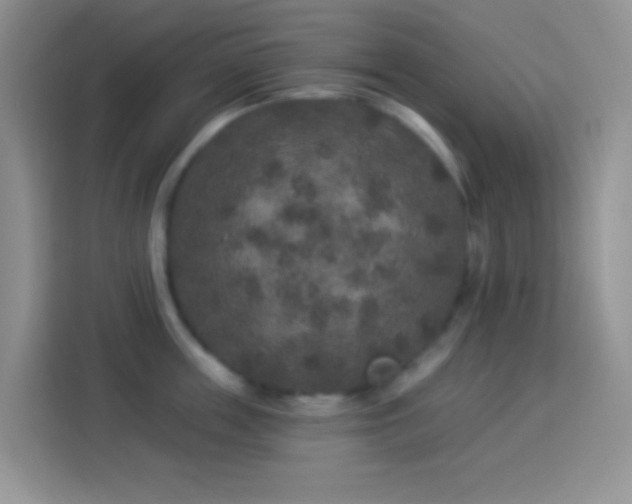 X0000113880859200910011131