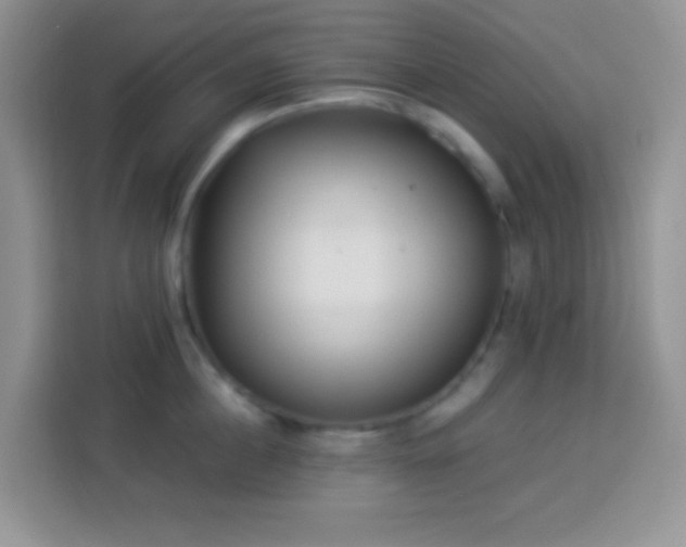 X0000113880860200910011131