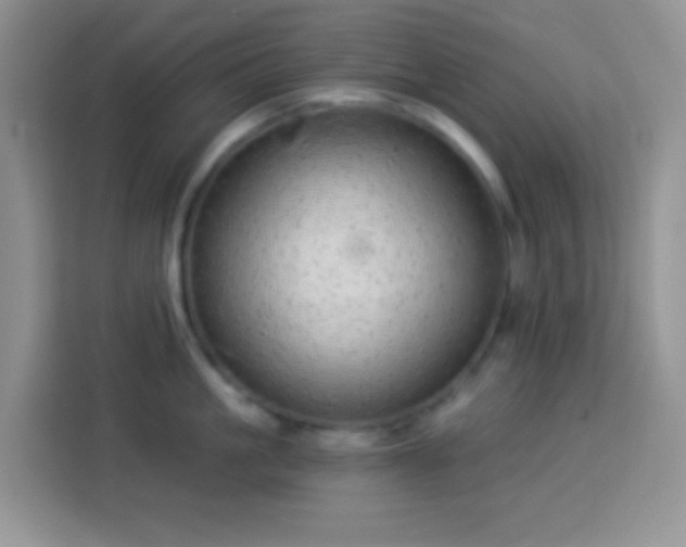 X0000113880861200910011131