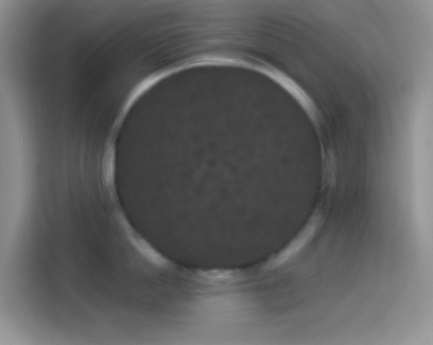 X0000113880862200910011131