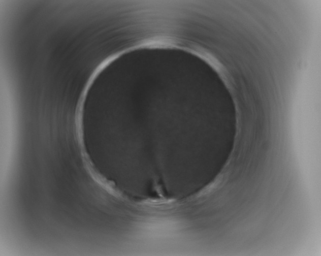 X0000113880864200910011131