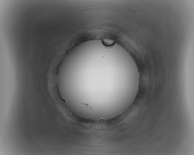 X0000113880865200910011130