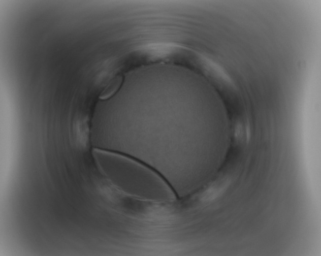 X0000113880868200910011130