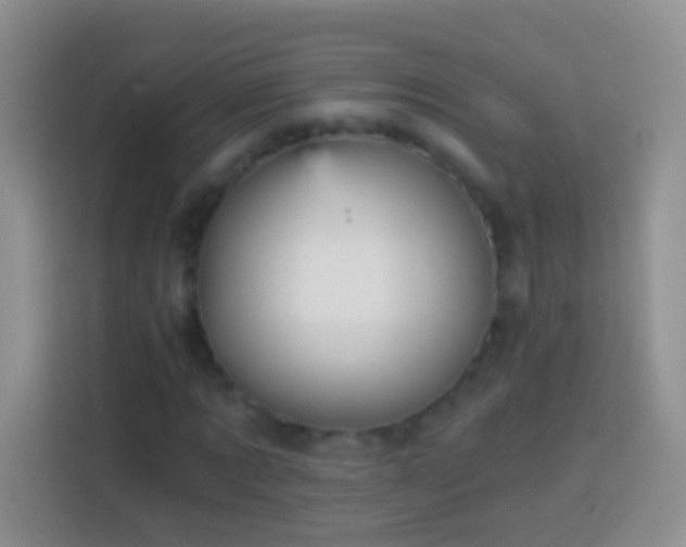 X0000113880869200910011130