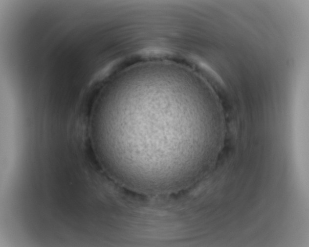 X0000113880870200910011130