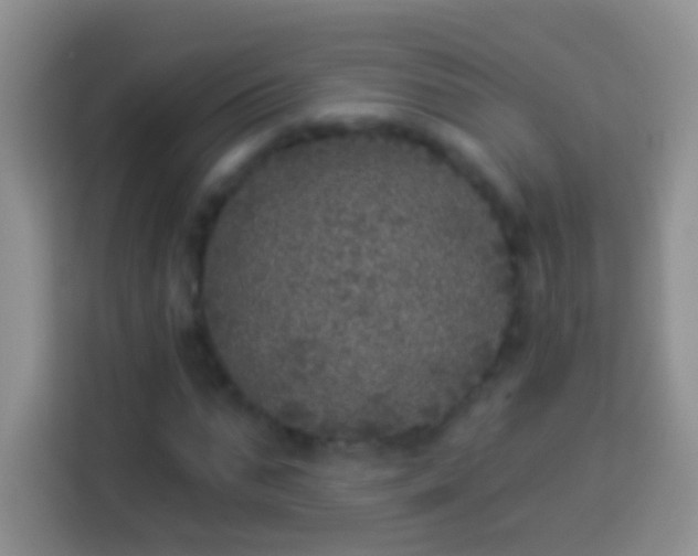 X0000113880871200910011130