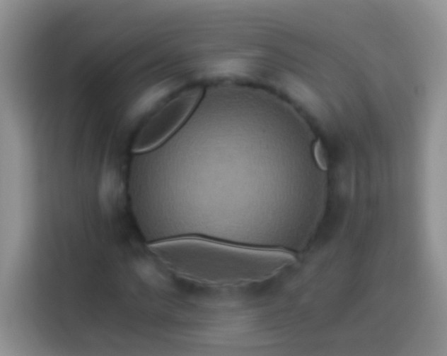 X0000113880872200910011130