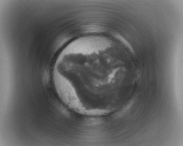 X0000113880874200910011130