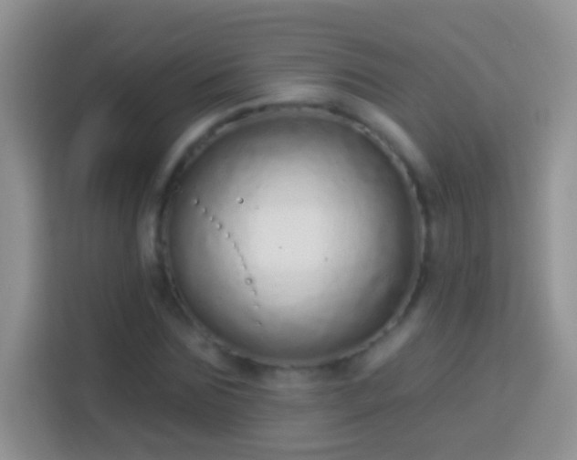 X0000113880875200910011130