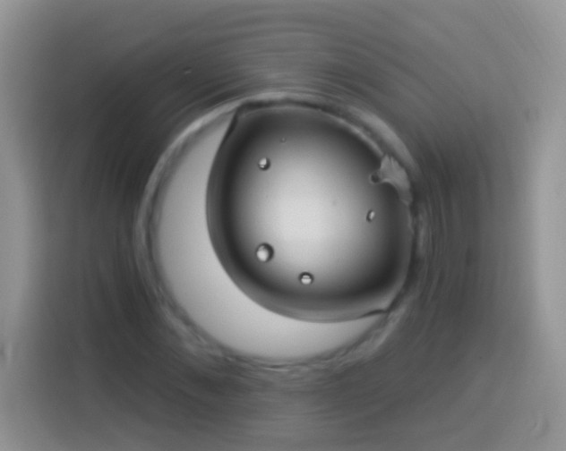 X0000113880876200910011130