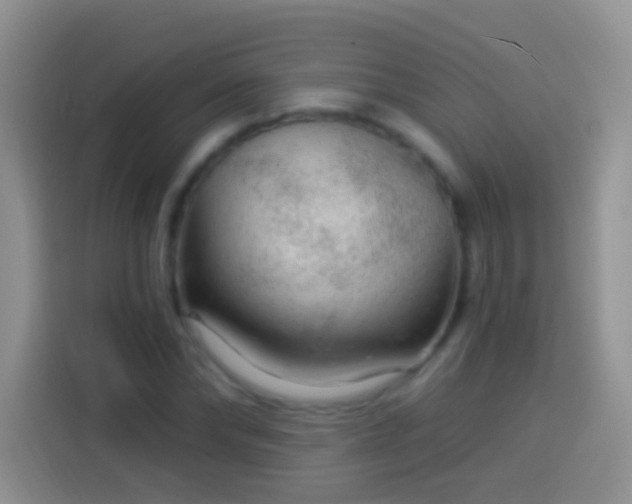 X0000113880878200910011130