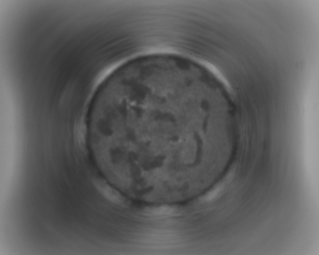 X0000113880879200910011130