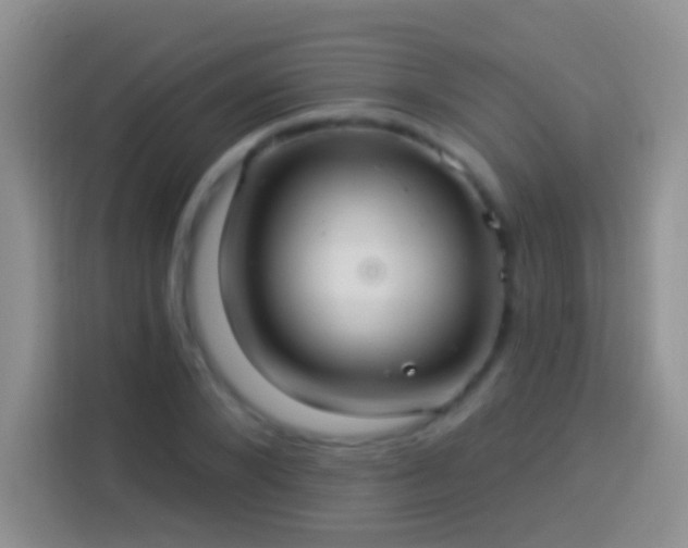 X0000113880880200910011130