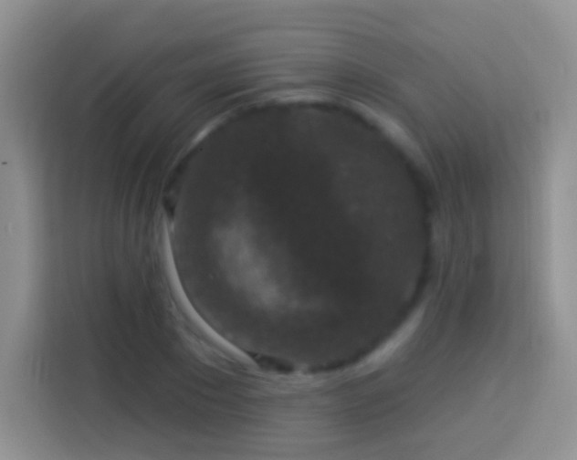 X0000113880881200910011130