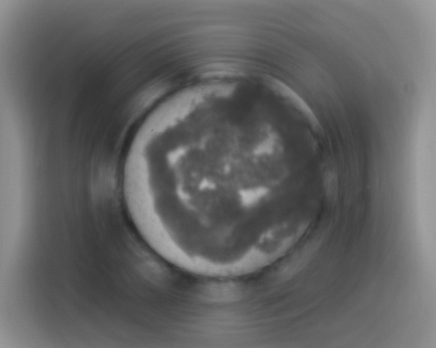 X0000113880882200910011130