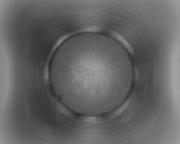 X0000113880883200910011130