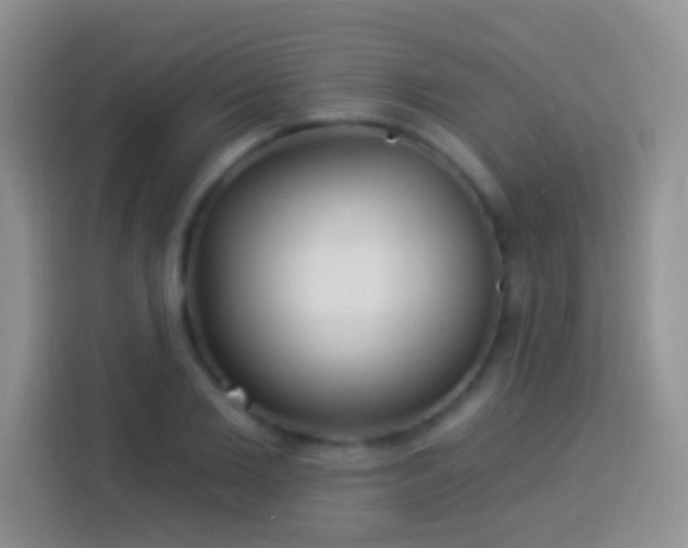 X0000113880885200910011130