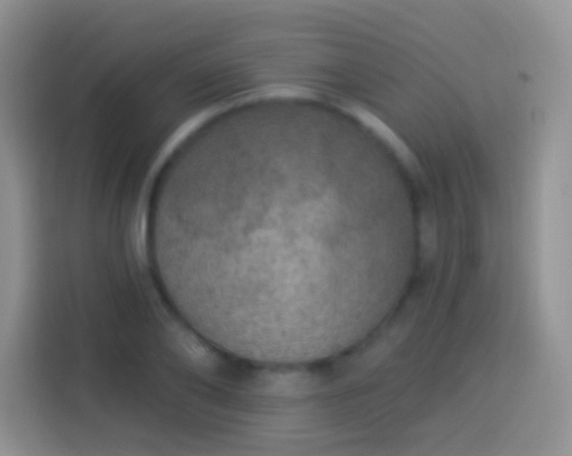 X0000113880886200910011130