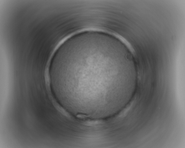 X0000113880887200910011130