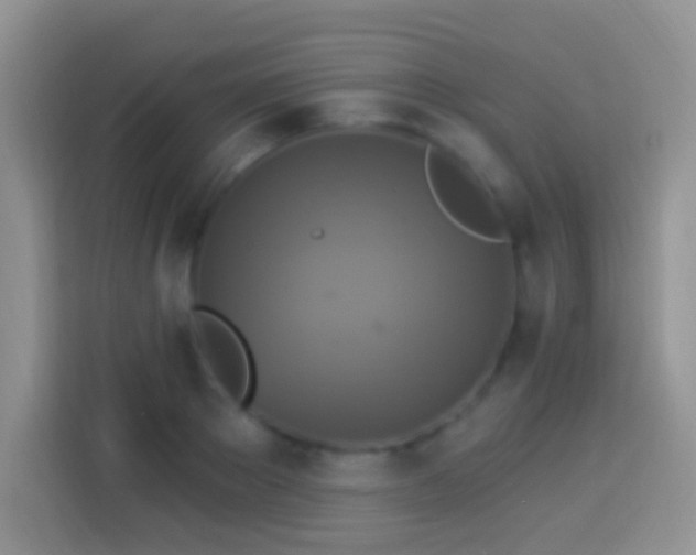 X0000113880889200910011130