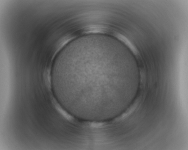 X0000113880890200910011130