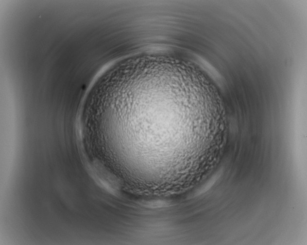 X0000113880891200910011130