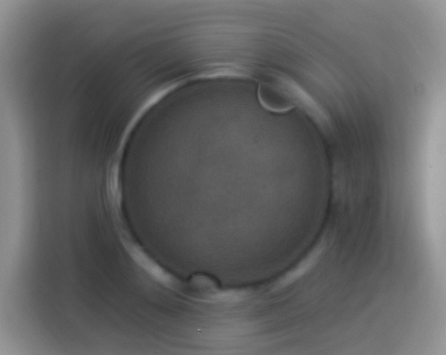 X0000113880892200910011130