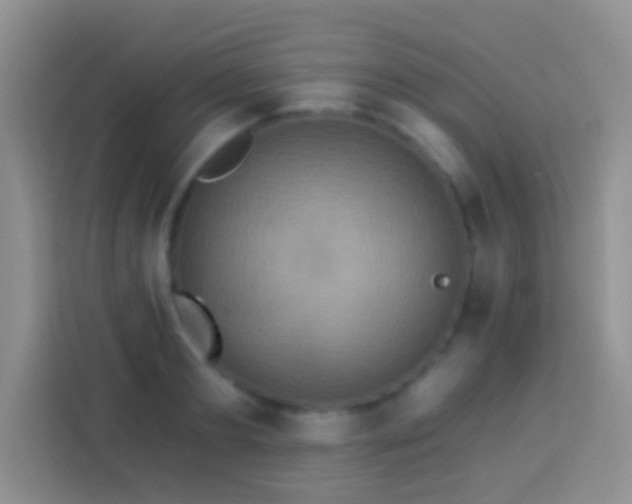 X0000113880893200910011130