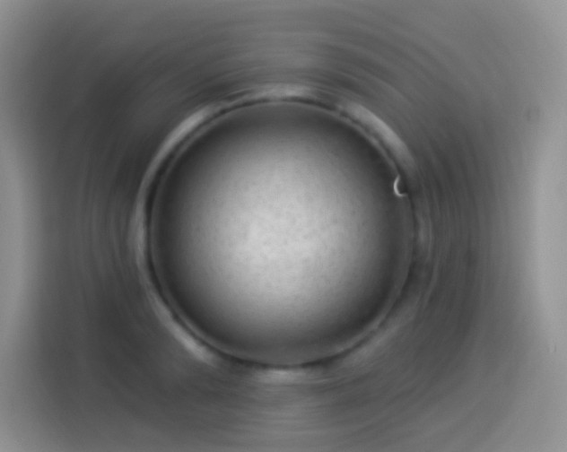 X0000113880894200910011130