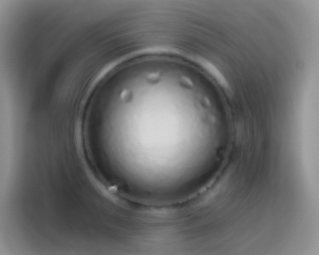 X0000113880895200910011130