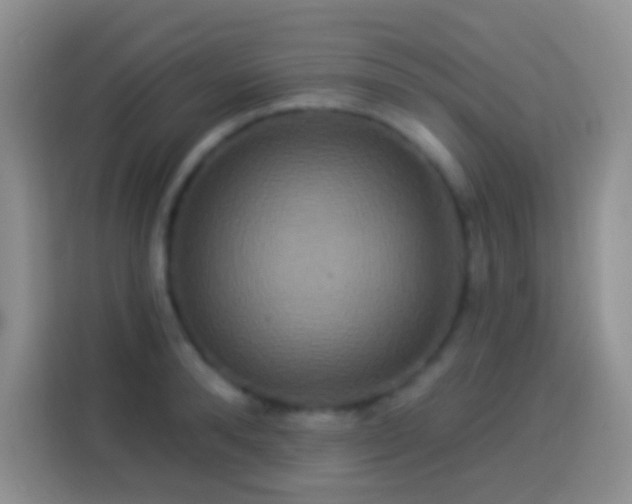 X0000113880896200910011130