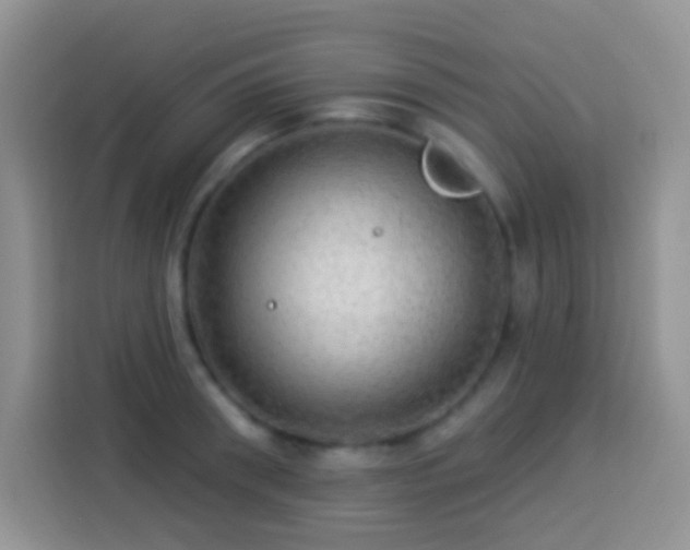 X0000113880898200910011130