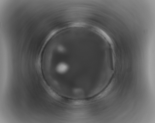 X0000113880899200910011130