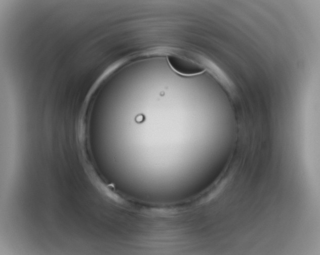 X0000113880900200910011130