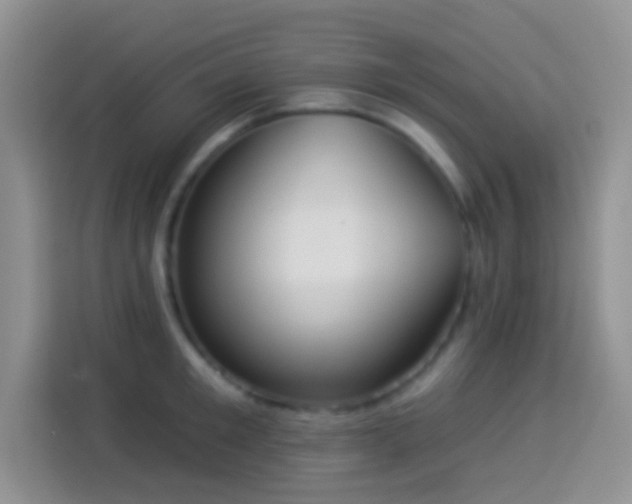 X0000113880901200910011130