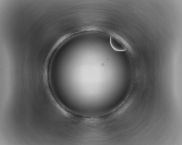 X0000113880902200910011130