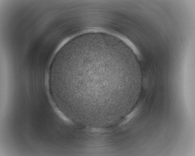 X0000113880903200910011130